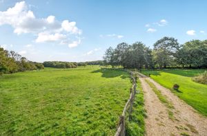 Photo 49- click for photo gallery